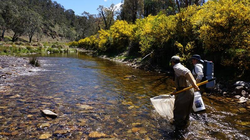 Loddon River