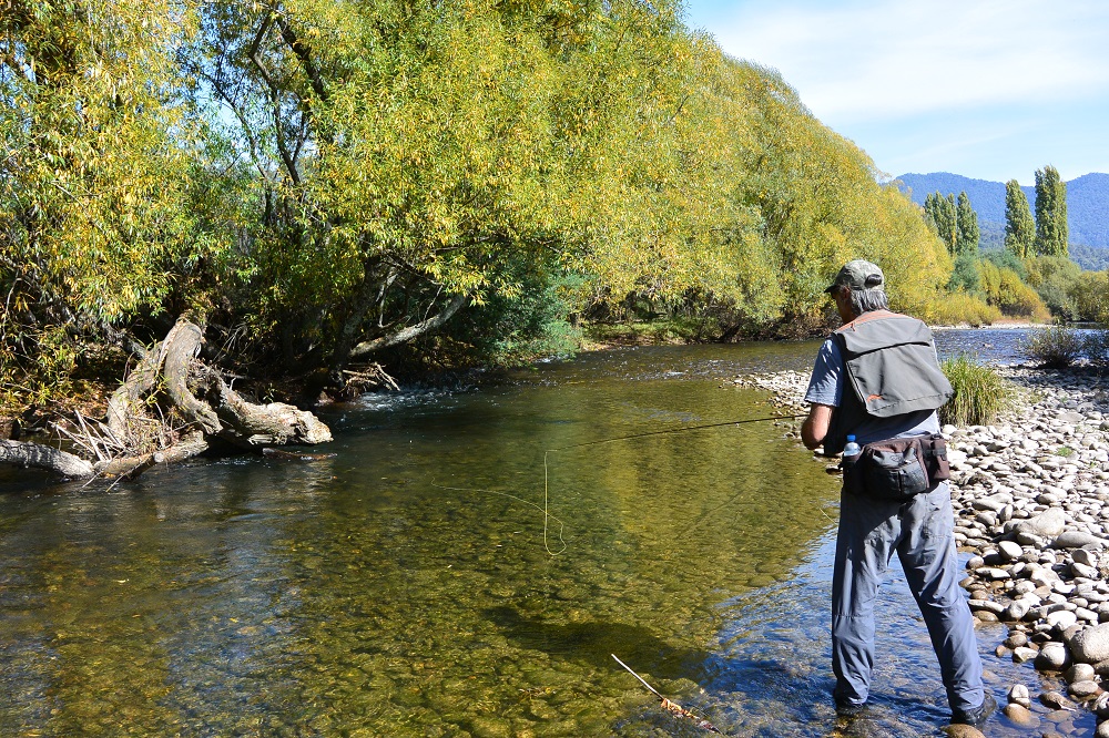 Lower Kiewa River