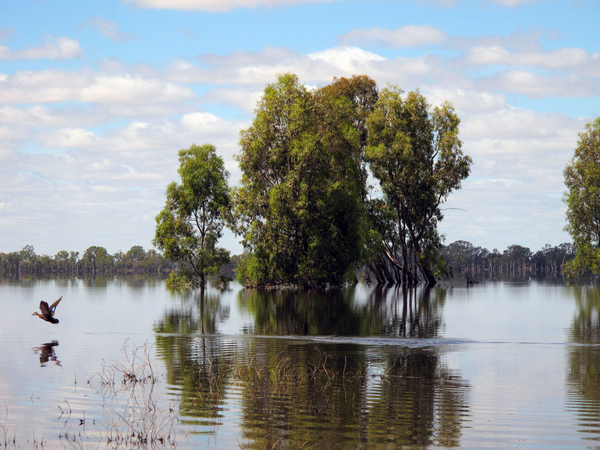 Lower Loddon