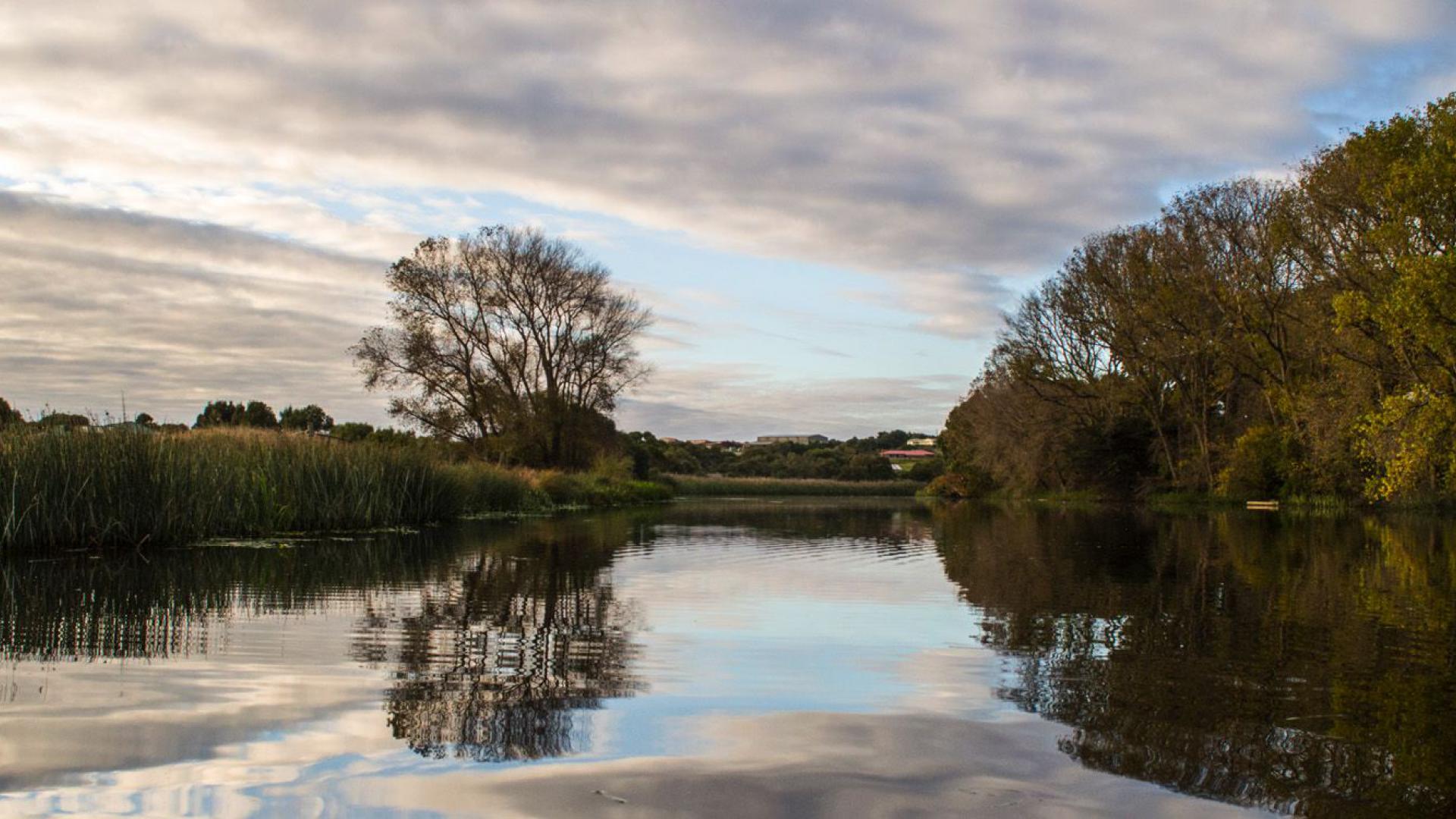 Lower Merri River