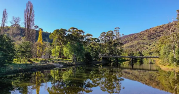 Image of Macalister River