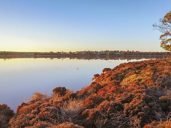 Mallee Fishing Guide