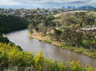 Maribyrnong Fishing Guide