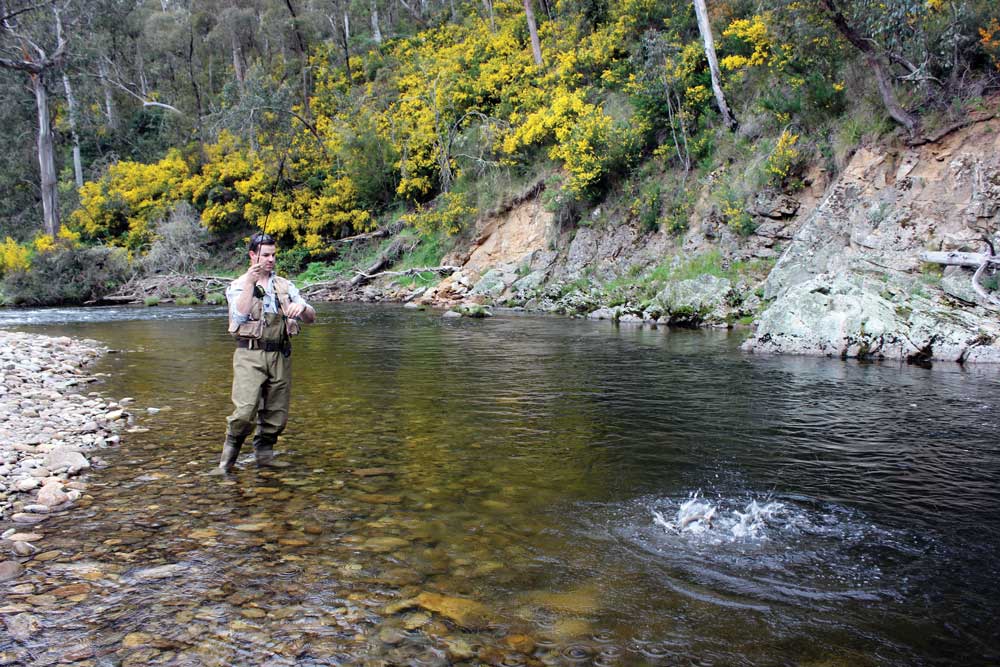 Mitta Mitta River