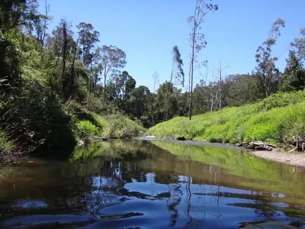 Image of Morwell River