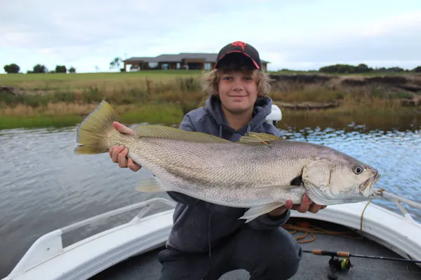 Image of a Mulloway