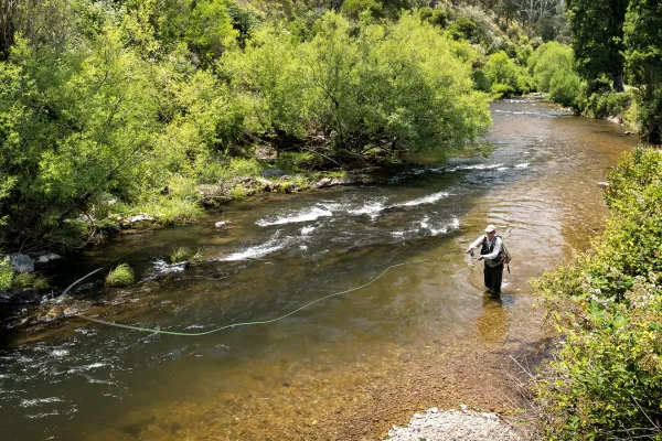 Image of Nariel Creek