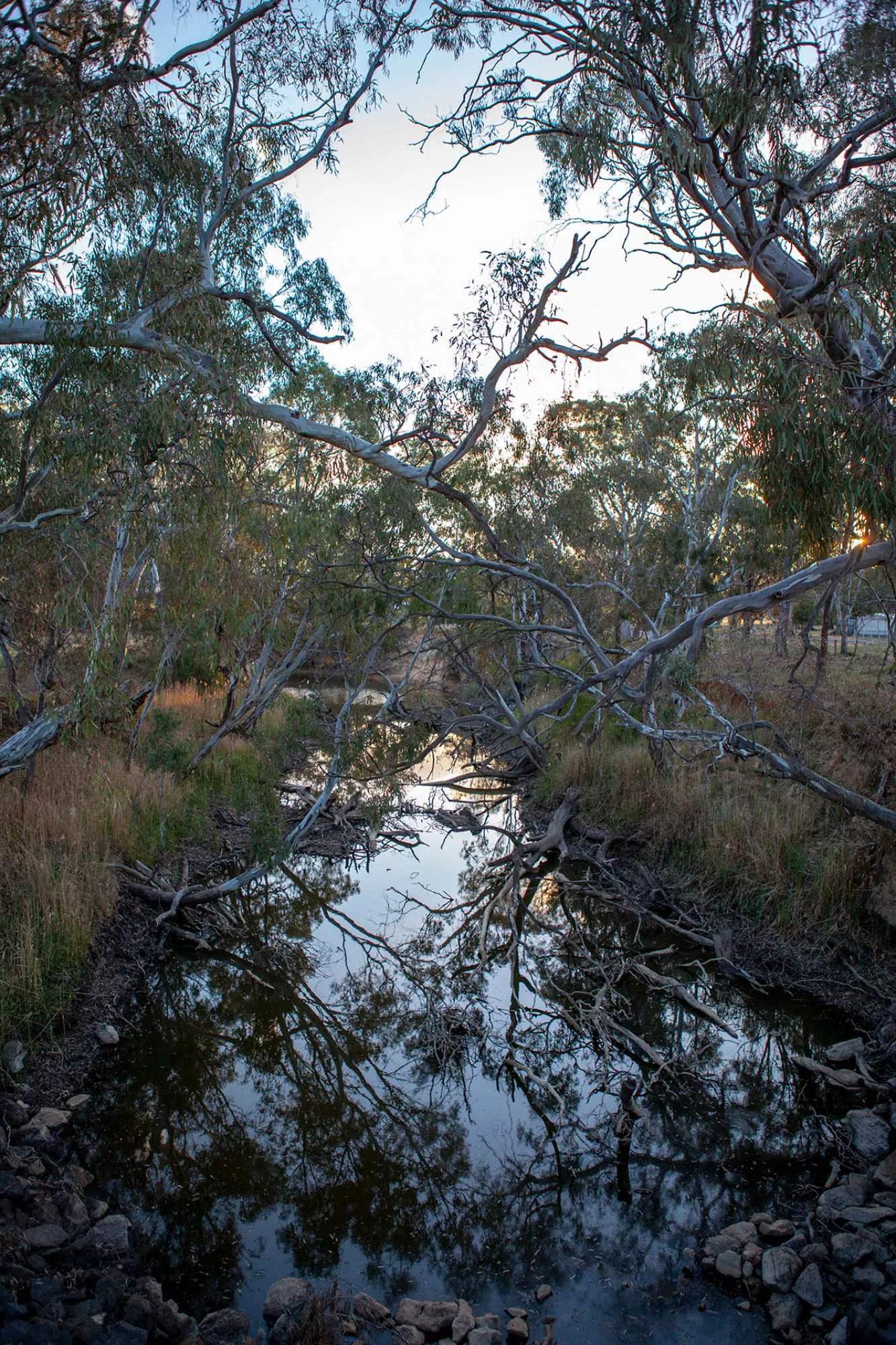 Natte Yallock Fishing Guide