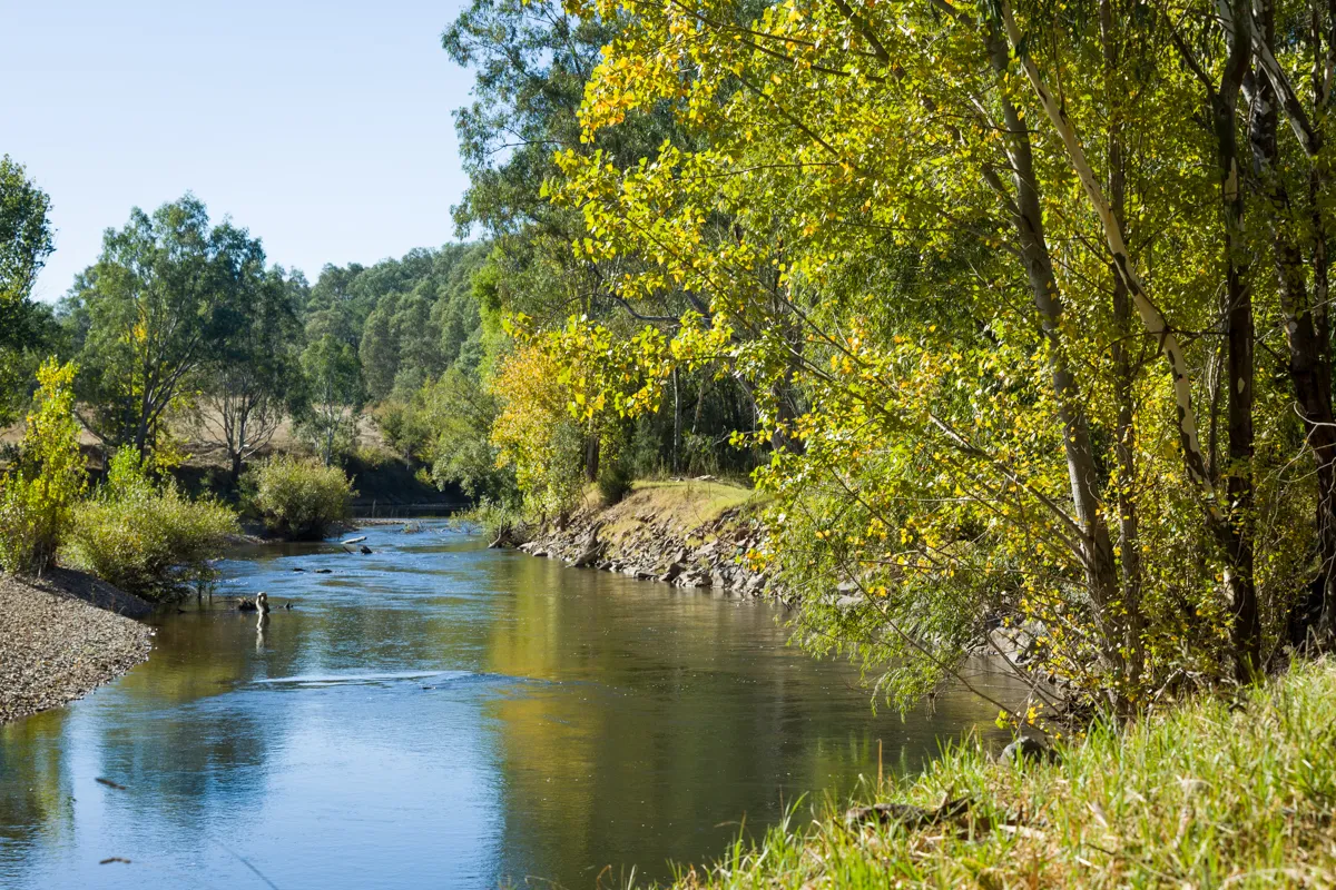 Image of Ovens Basin