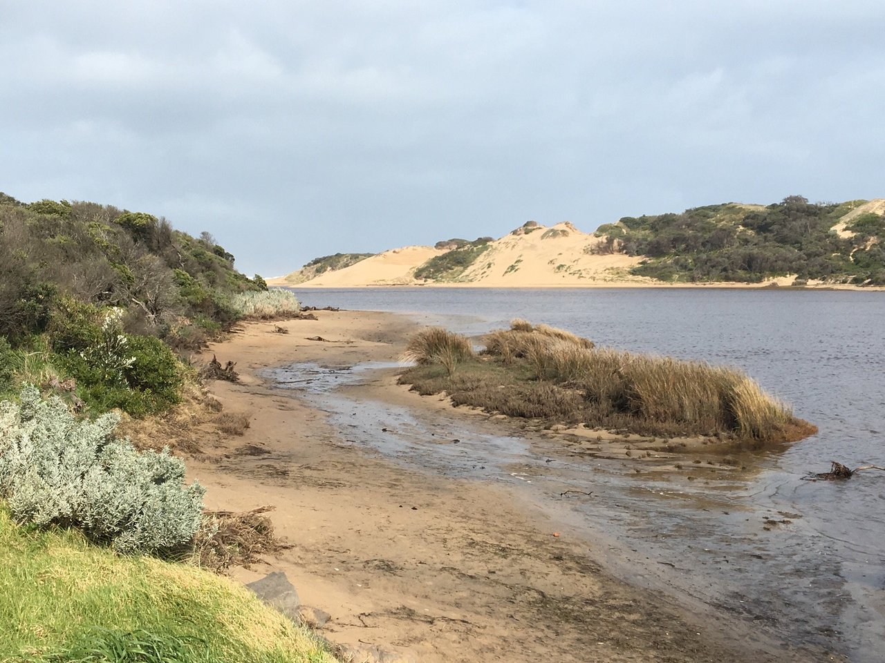 Powlett River