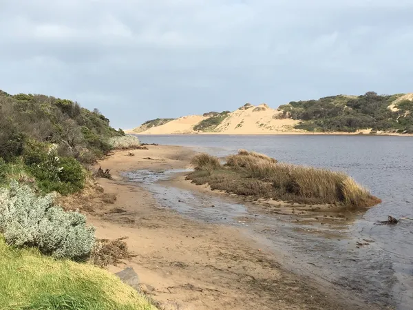 Image of Powlett River