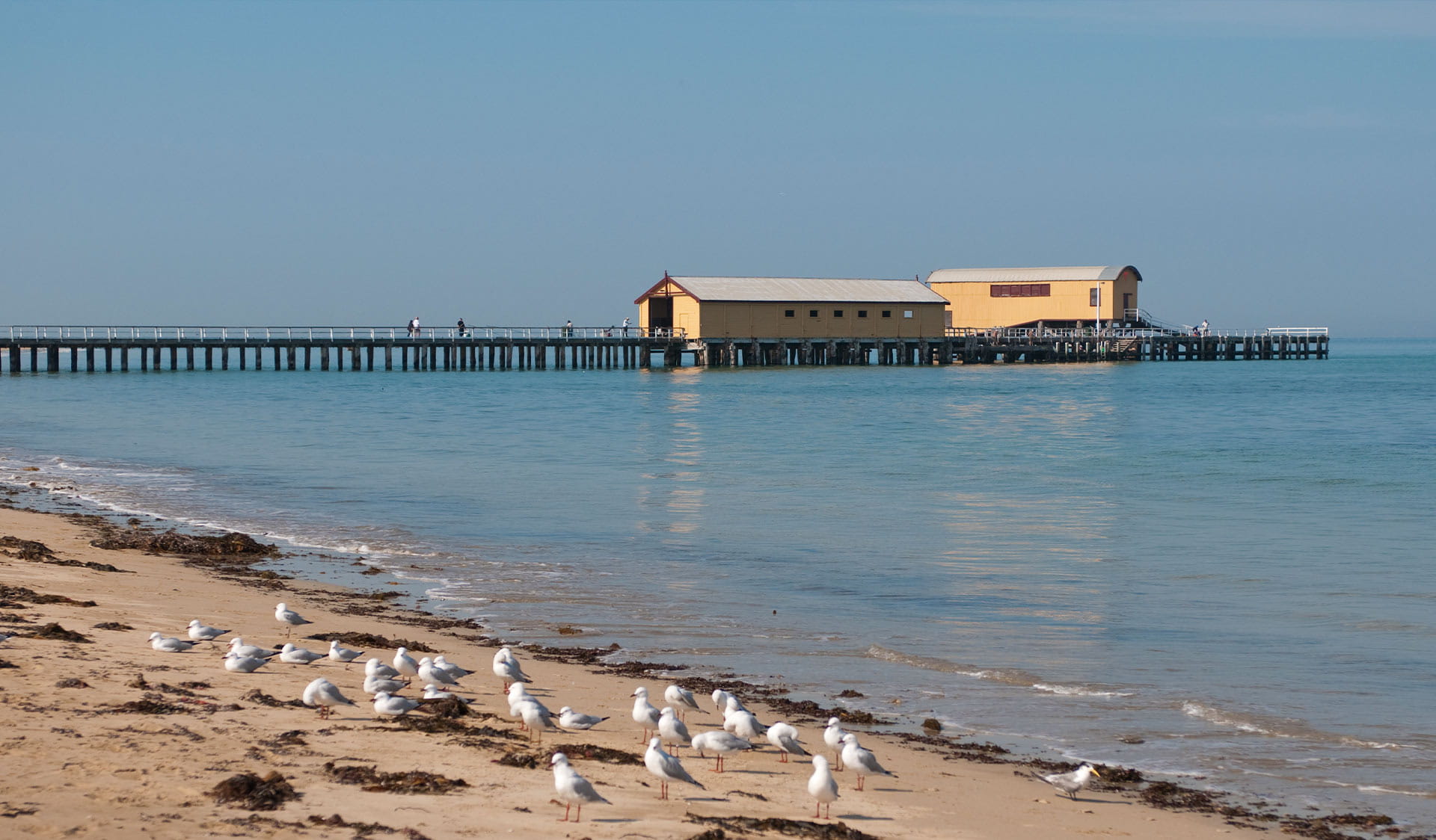 Queenscliff Pier