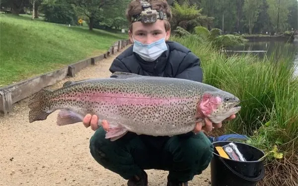 Image of a Rainbow Trout