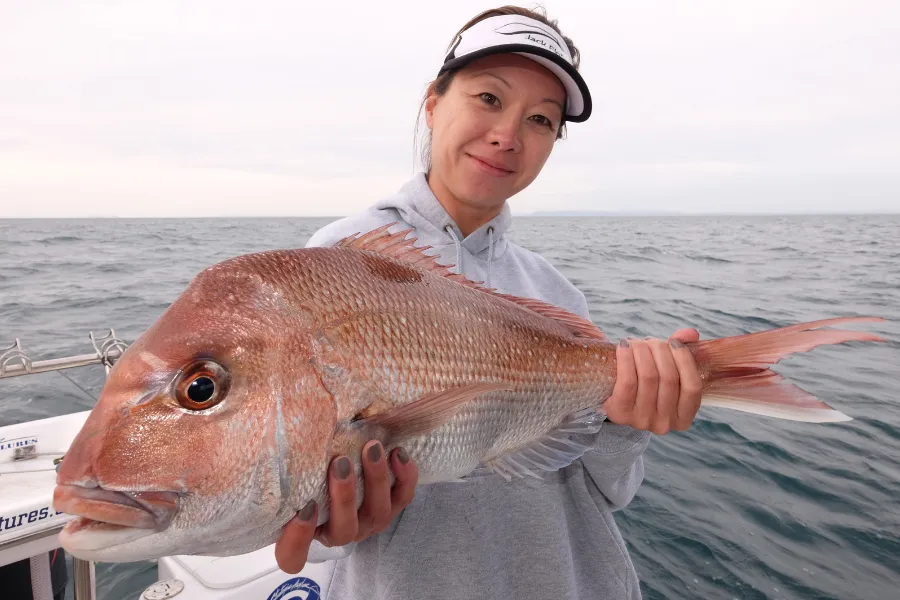 Snapper Fishing in Melbourne