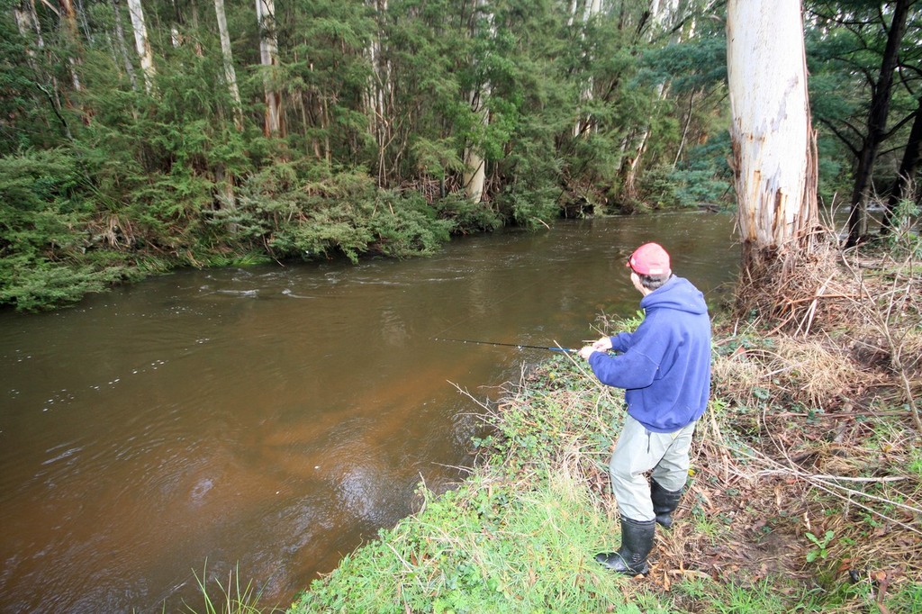 Tarago River