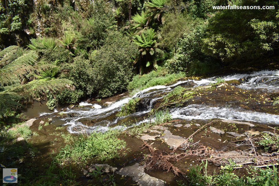 Tarra River Headwaters