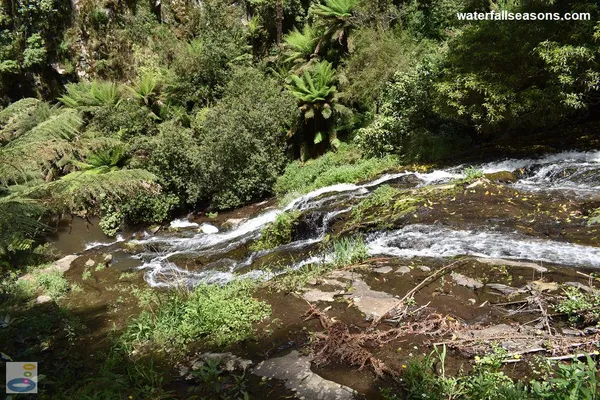 Image of Tarra River Headwaters