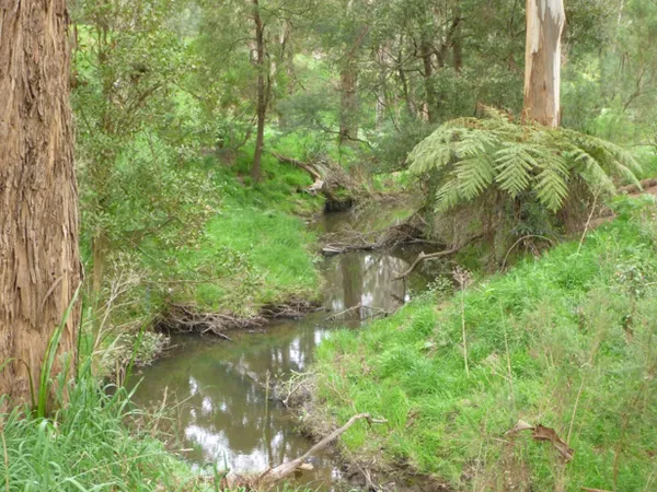 Image of Tarwin River - West Branch