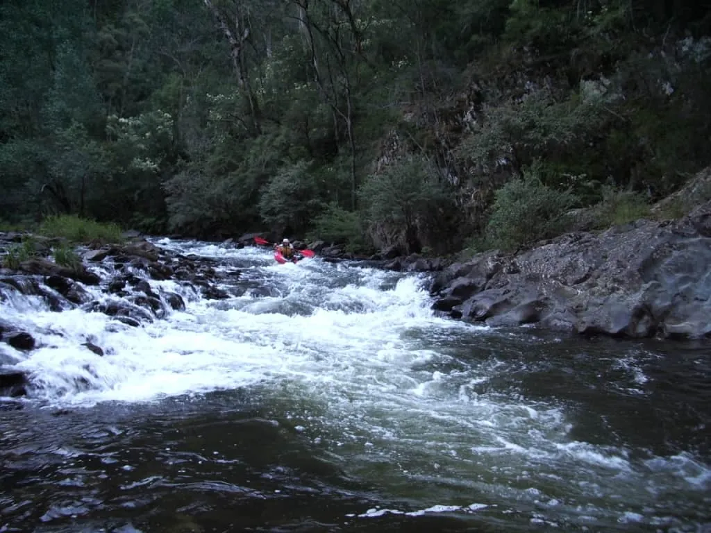 Thomson River Fishing Guide