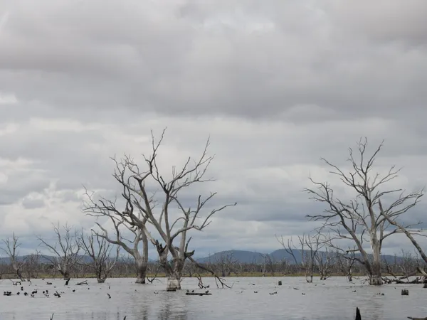 Image of Toolondo Reservoir