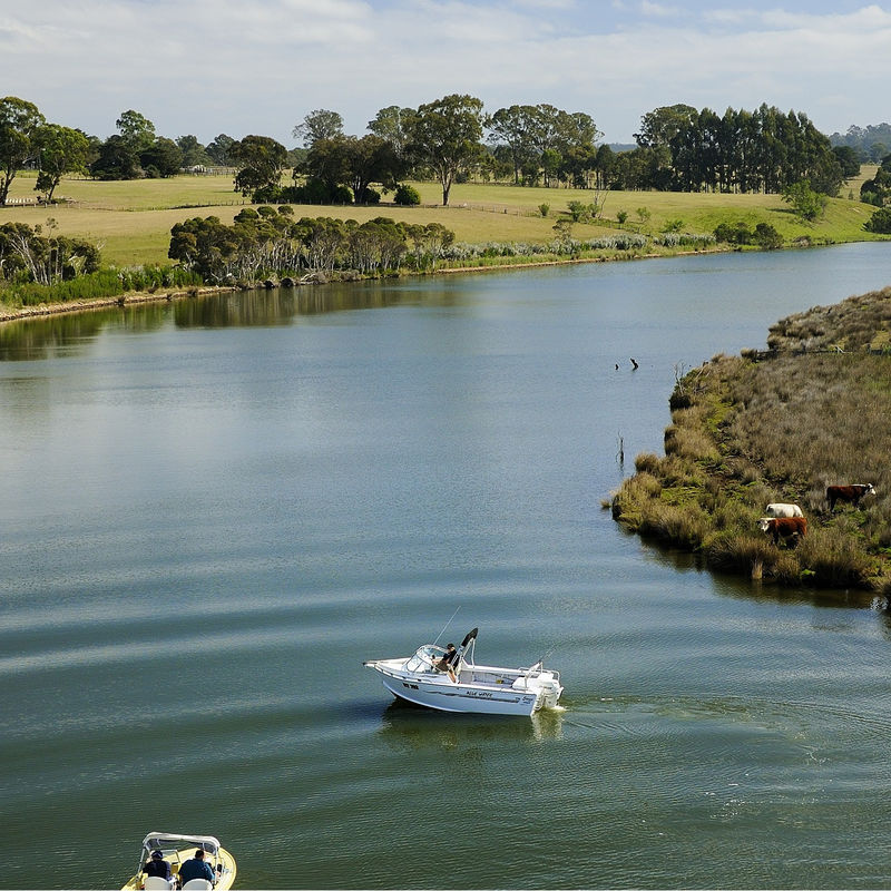 Upper Nicholson River