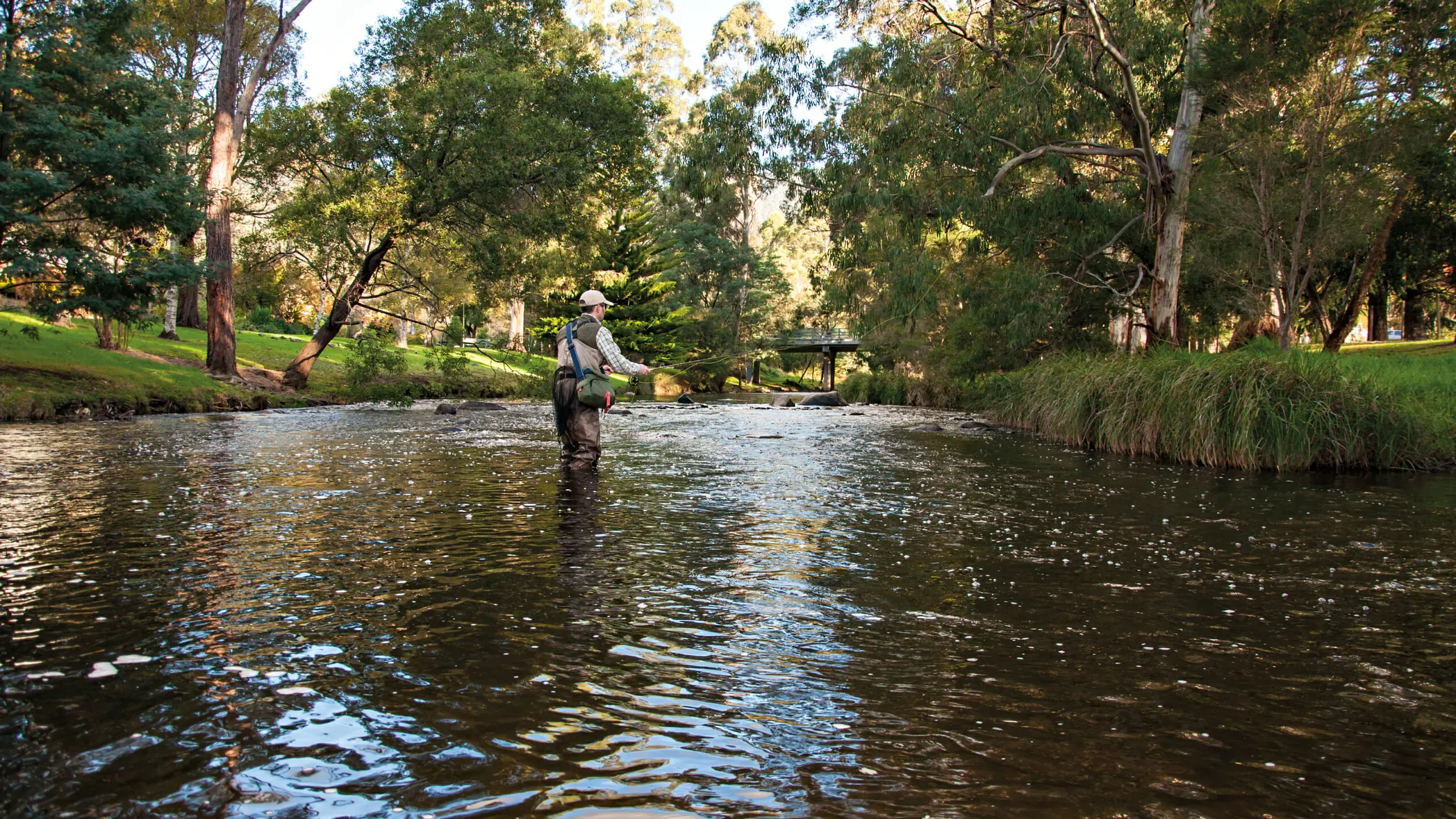 Upper Yarra River Fishing Guide