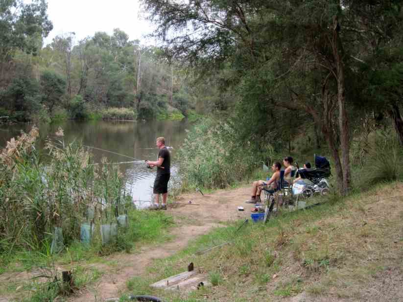 Warrandyte Area