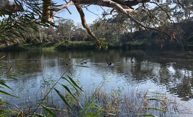 Werribee River