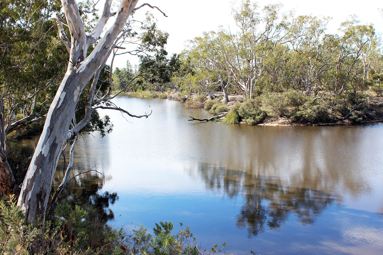 Wimmera