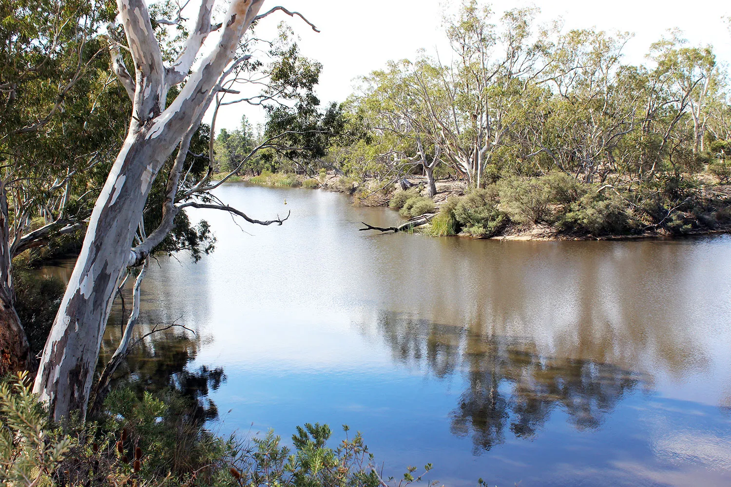 Wimmera Fishing Guide