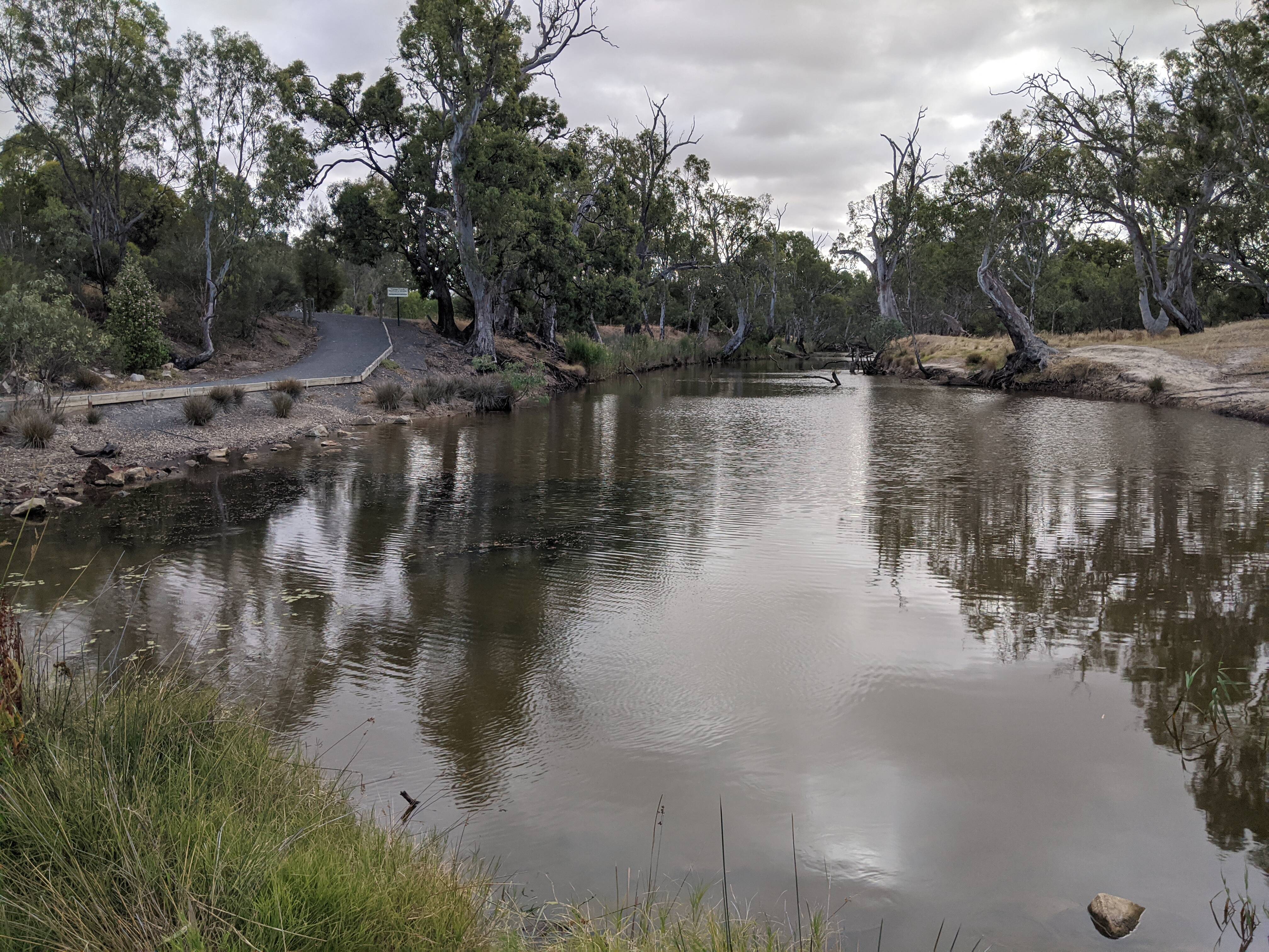 Wimmera River downstream of Horsham