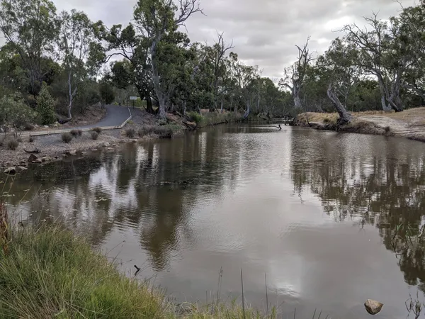 Image of Wimmera River downstream of Horsham