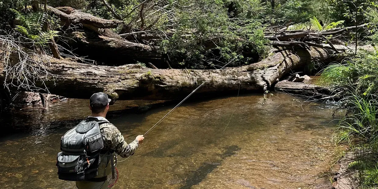 Wonnangatta River Fishing Guide